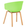 Пластиковый стул Зеленый